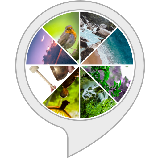 Premium Deep Sleep Meditation Alexa Skills