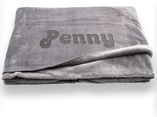 Miniatura 4 de Custom Catch - Manta personalizada para perro, gris o beige, tamaño XL