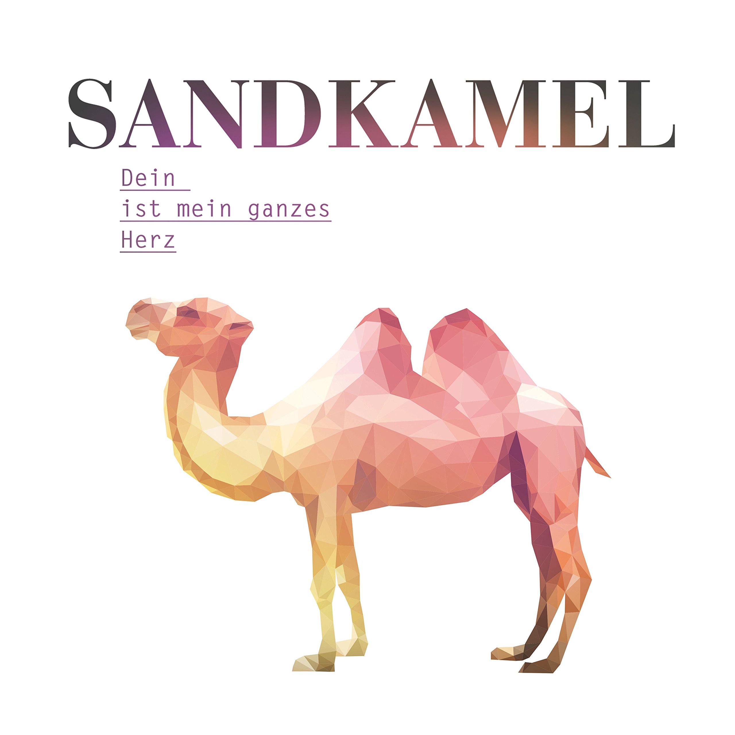 Sandkamel