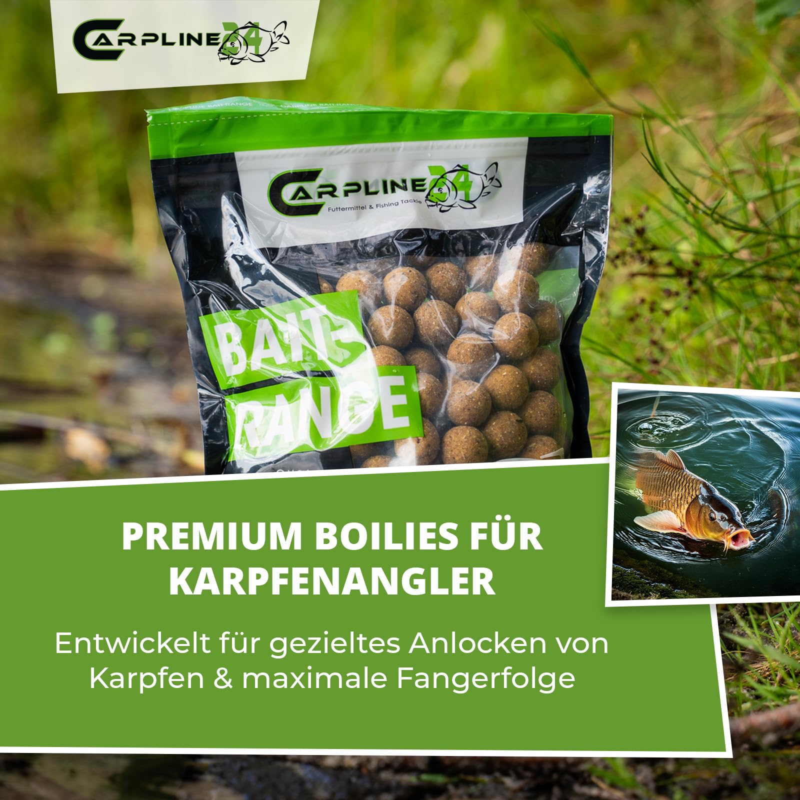Premium Boilies Tinuts Tigernuss - 5 kg - 20 mm - Karpfenköder zum Angeln, Futterboilies zum Anfüttern von Karpfen, Carp Baits, Angelfutter mit Lockstoff