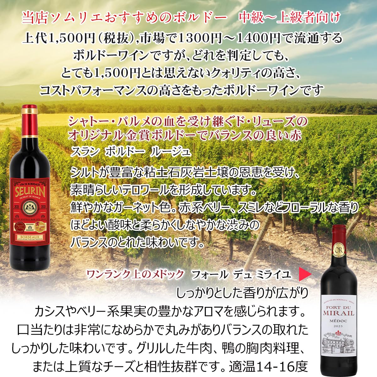 Amazon.co.jp: 新 赤ワインセット 旨い！【“ワイン通”向け】 フランス