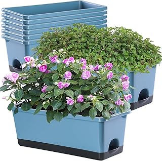 Window Box Planter