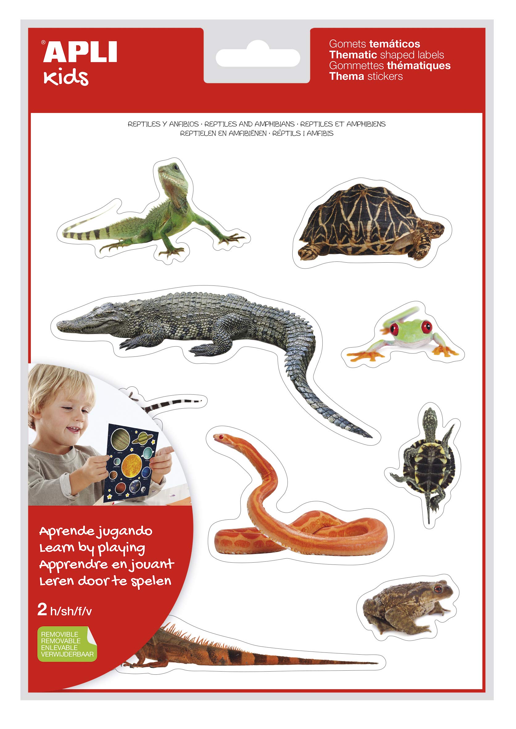 APLI Kids - Sac De Gommettes Reptiles Et Amphibiens Réalistes, 2 Feuilles, 20 Stickers Pour Enfants Et école - 11
