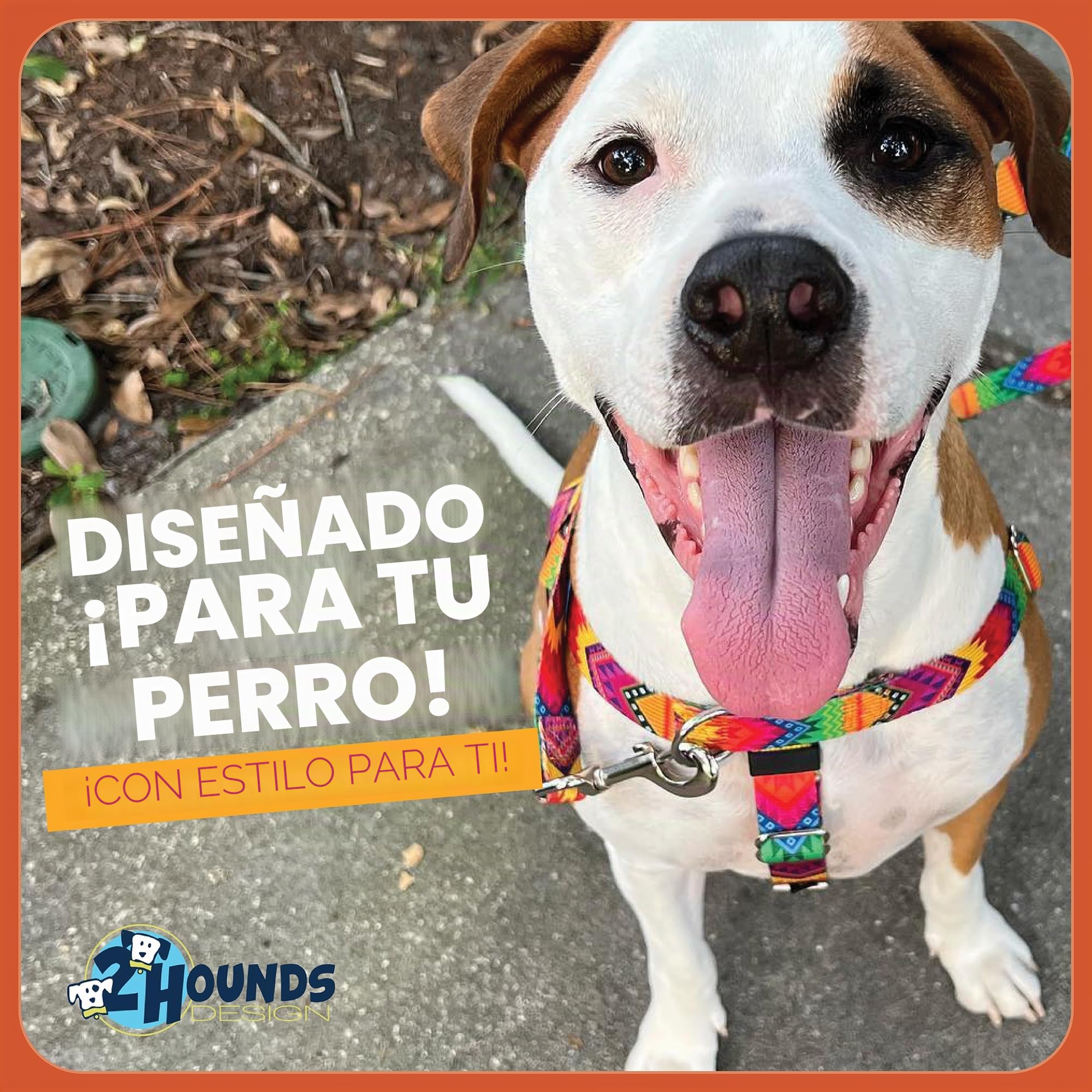2 Hounds Design Freedom - Arnés para Perro sin tirones con Correa, Mediano, 5/8 Pulgadas de Ancho, Verde Azulado