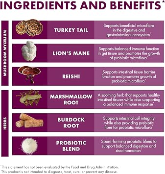 Host Defense MycoBotanicals Microbiome* Powder - Digestive & Immune Health Support Supplement - Gut Health Supplement with Turkey Tail, Lion's Mane & Reishi - 3.5 oz (33 Servings)*
