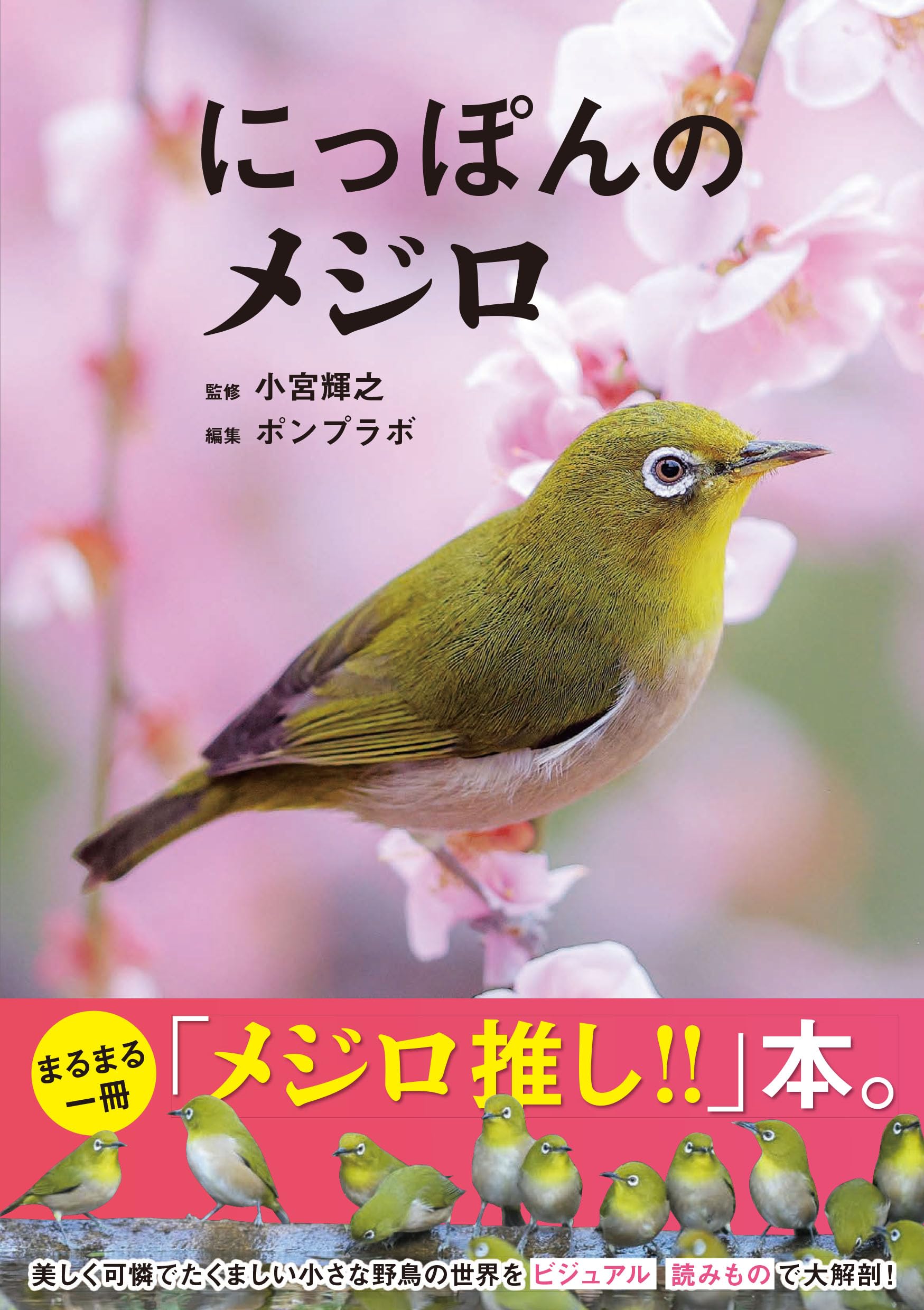 メジロの箱と篭 Yahoo!オークション - ④ 目白 メジロ 寝箱 鳥かご 巣 一羽用 木製 飼