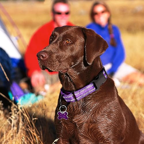 Miniatura 10 de BITSYMORE Martingale - Collar para perro, collar reflectante de nailon ajustable con hebilla, para perros pequeños, medianos y grandes. Evita que se