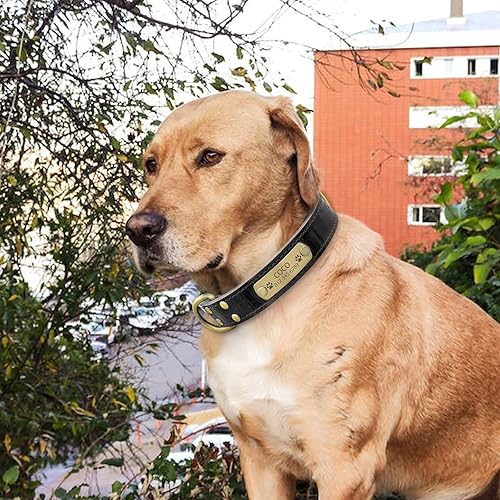 Miniatura 10 de Collar de perro de cuero genuino personalizado con placa de nombre grabada, duradero y elegante collar de perro personalizado para perros pequeños