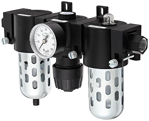 Dixon C16-04M Unidad combinada compacta Wilkerson de drenaje manual con cuenco y protector transparente, tamaño de 1/2 pulgada, flujo de 64 SCFM,