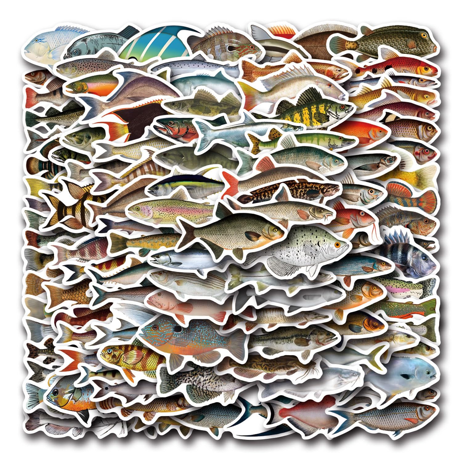 Tuyatezhi Boys Multicolor 110 Pcs Fish Stickers, Cute Style, Deep-Sea Fish, Waterproof Vinyl, For Bicycle, Skateboard, Laptop, Water Bottles, Computer, Wall, Graffiti Stickers