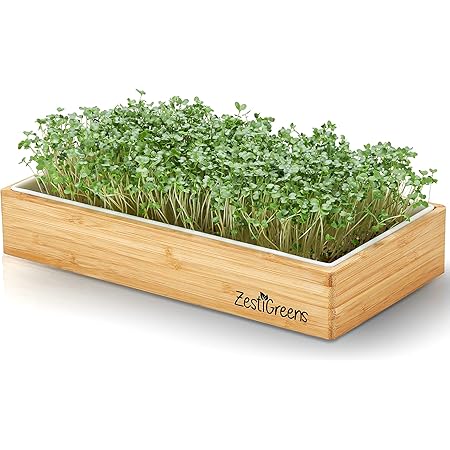 Microgreens Growing Kit Self Watering - Includes Microgreens Tray, Microgreens Seeds, Mats and Bamboo Surround. No Soil Needed. Easy to Set up. Water Once. Guaranteed to Grow.