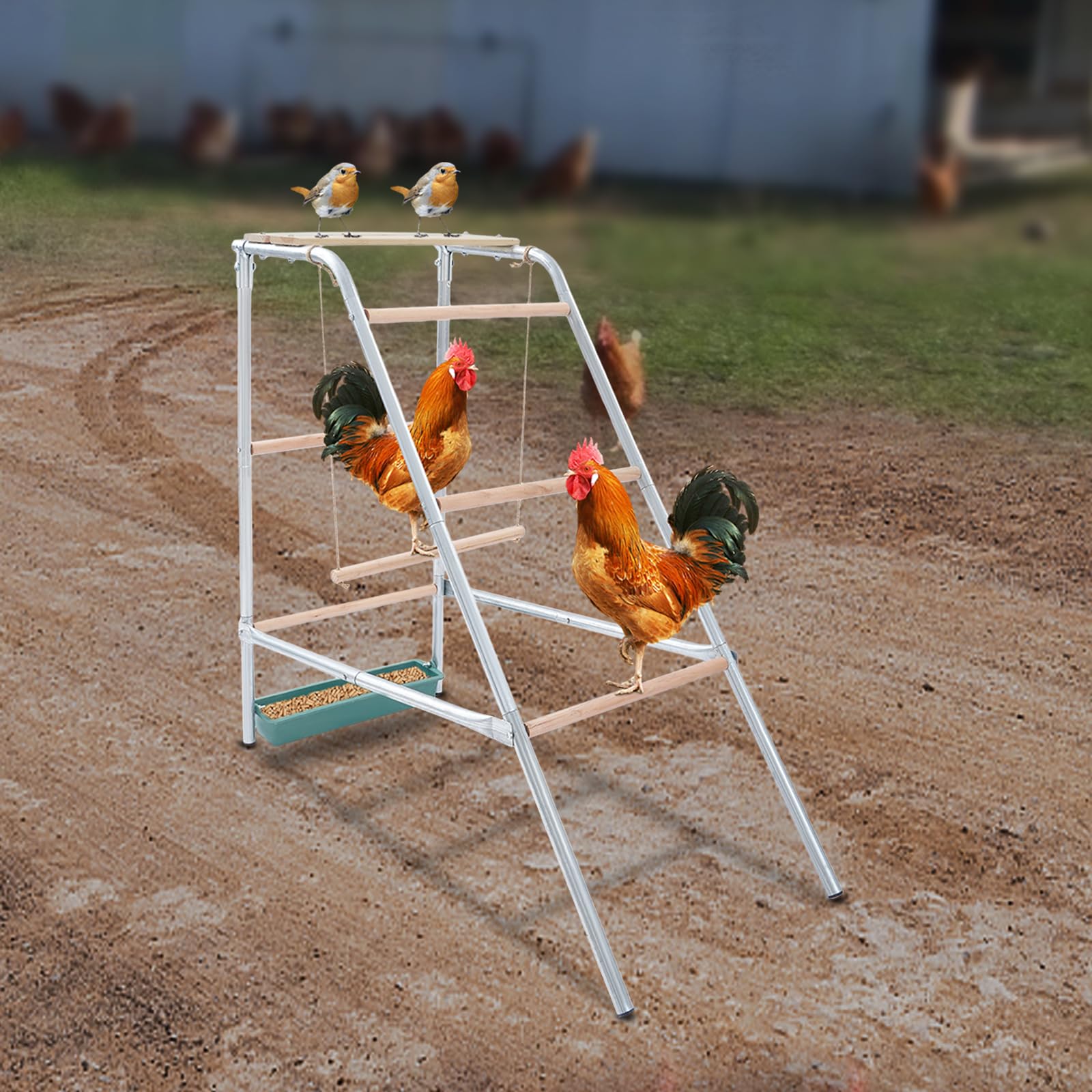 posatoi per polli, grande supporto per pollame, per interni ed esterni, in legno, per parco giochi, polli, scaletta per sedili, accessori per pollaio