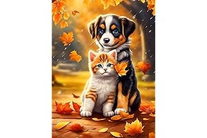 Sparkling Cat: Unleash Your Inner Artist