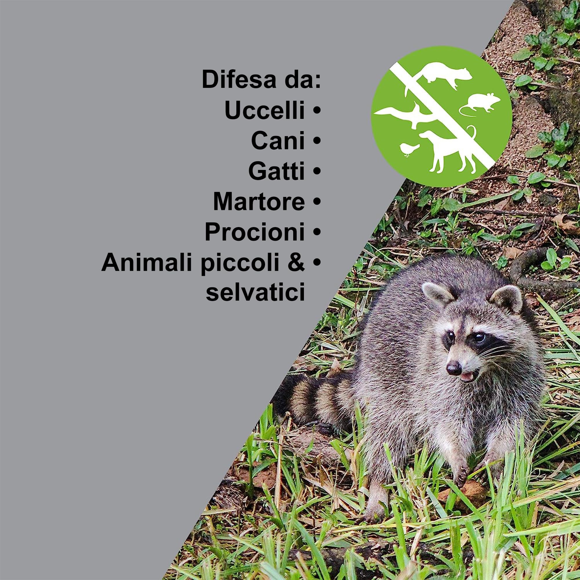 ISOTRONIC repellente solare animali gatti cani volpi procioni ultrasuoni giardino raggio 40m² 1 unità efficace esterno difesa dissuasore ecologico protezione prato parassiti impermeabile mobile stop