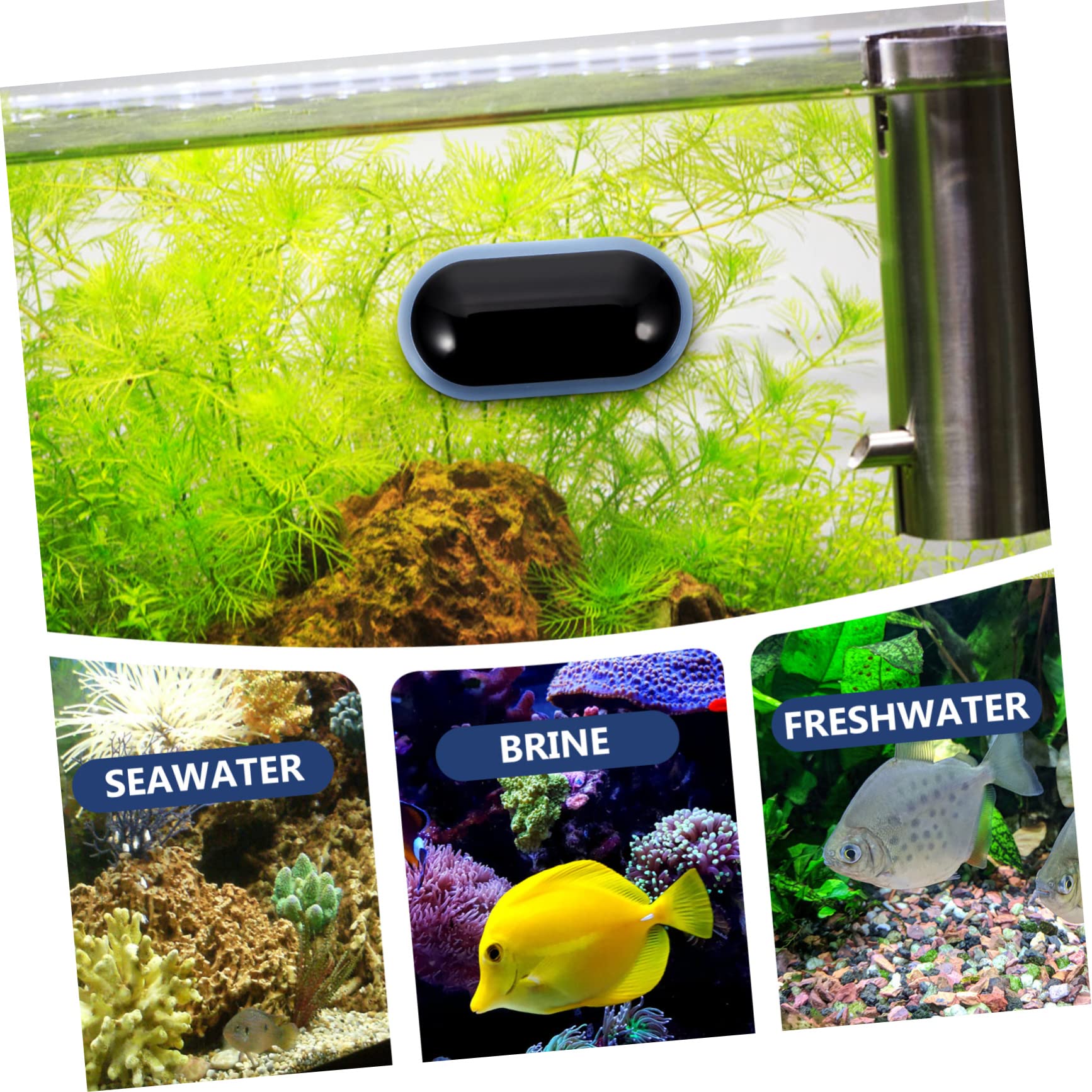 Happyyami 3St Aquarienthermometer Zubehör für Schildkrötenpanzer Fisch digitalthermometer digital digitales Thermometer temperaturanzeige für aquarium LED-Tanktemperatur klein
