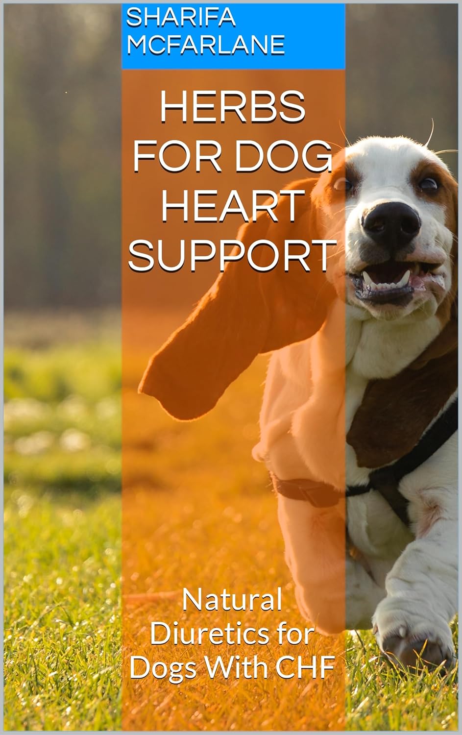 Herbs for Dog Heart Support Natural Diuretics for Dogs