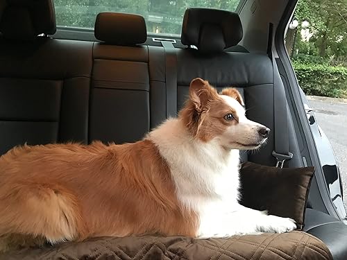 Miniatura 8 de Brilliant Sunshine Sofá cama de terciopelo sedoso de chocolate prémium para mascotas, antideslizante, impermeable, lavable, protector de sofá con