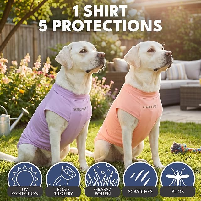 Foto 4 de 6 de Spark Paws Camiseta Sunblock, protección contra rayos UV SPF30, ligera, transpirable, para el sol de verano
