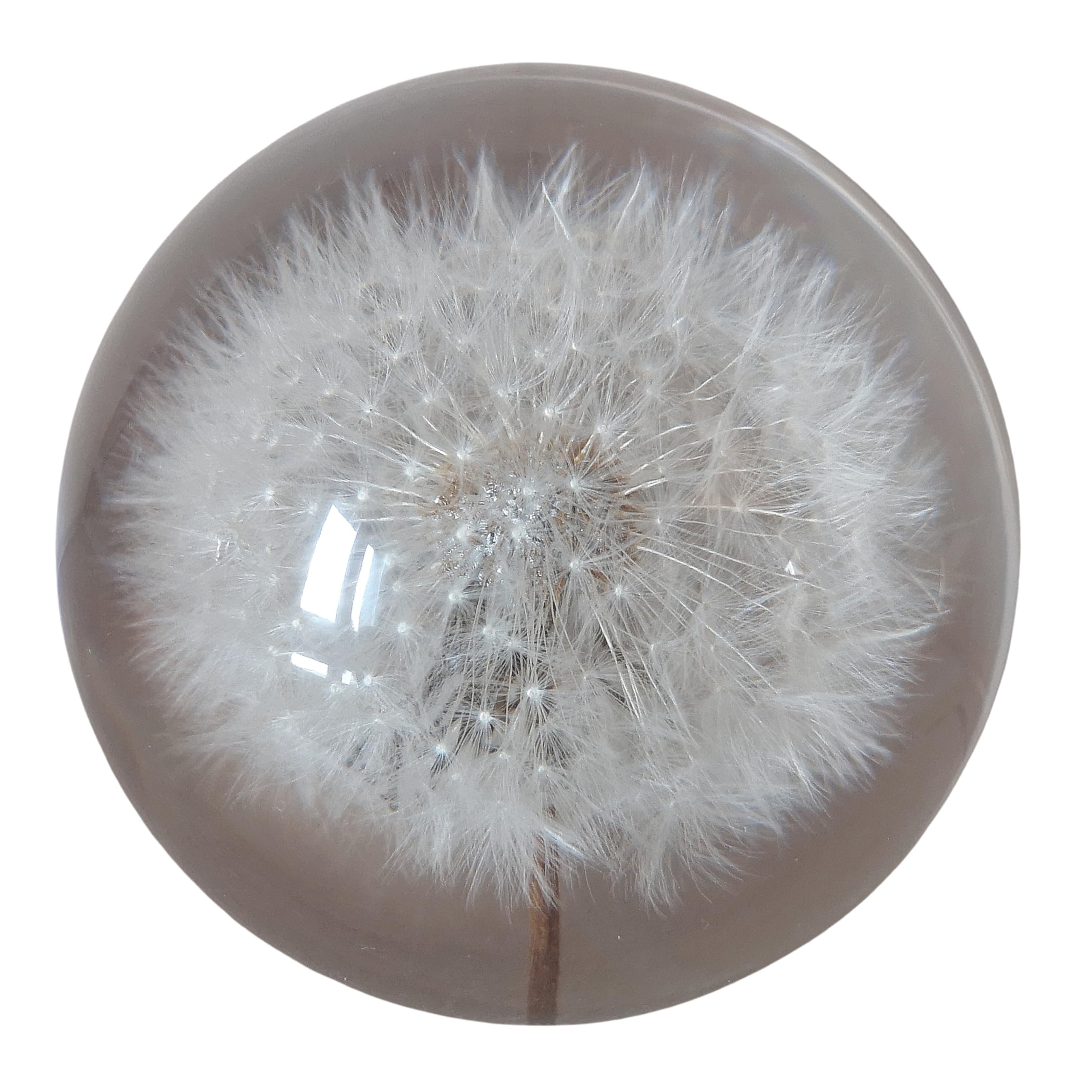 Generisch 7 cm Deko Figur Glas Pusteblume Löwenzahn Briefbeschwerer Handarbeit Glaskugel