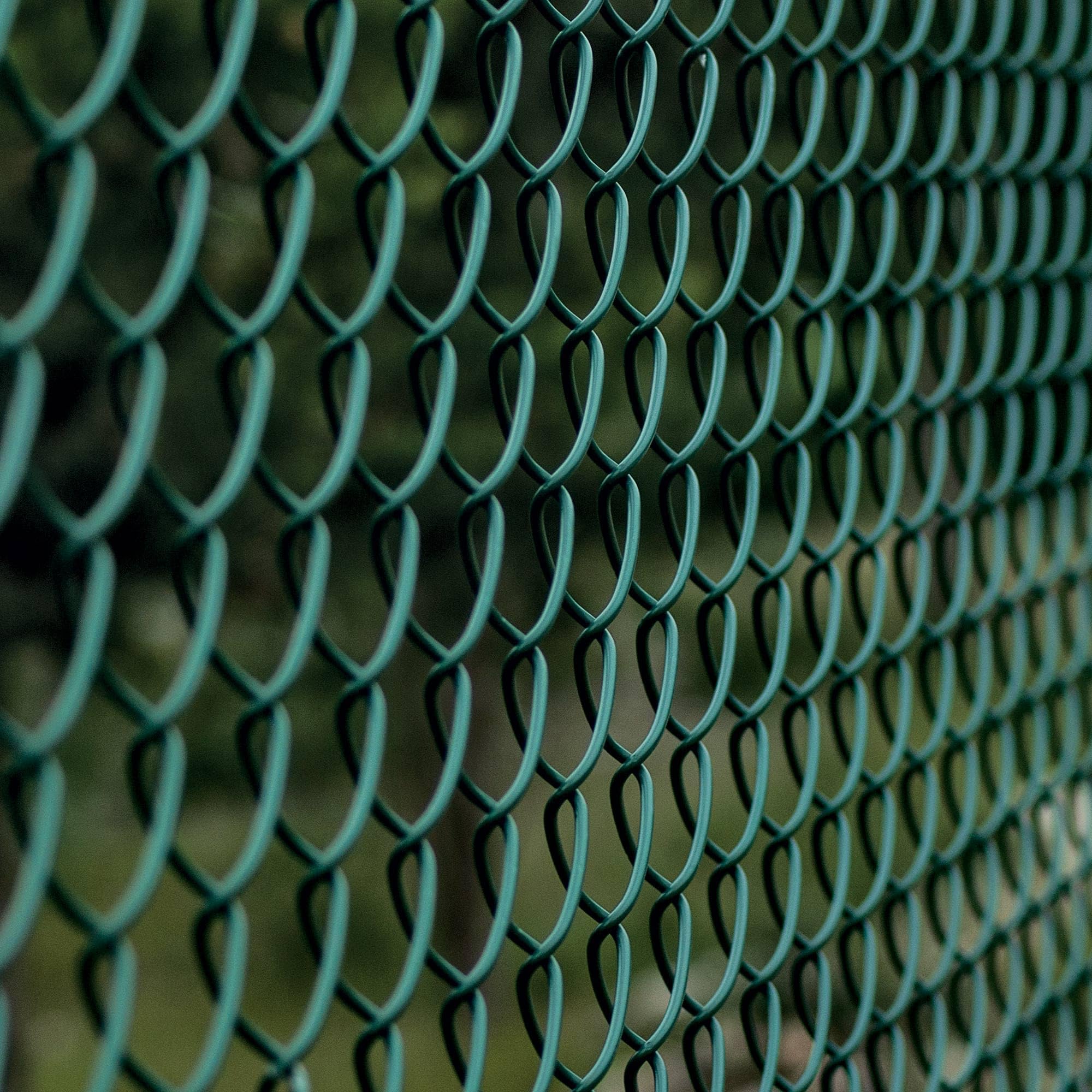 Grillage Vert Maille 25x25 Mm – Rouleau 10 M X 100 Cm, Acier Galvanisé PVC Pour Clôture & Volière