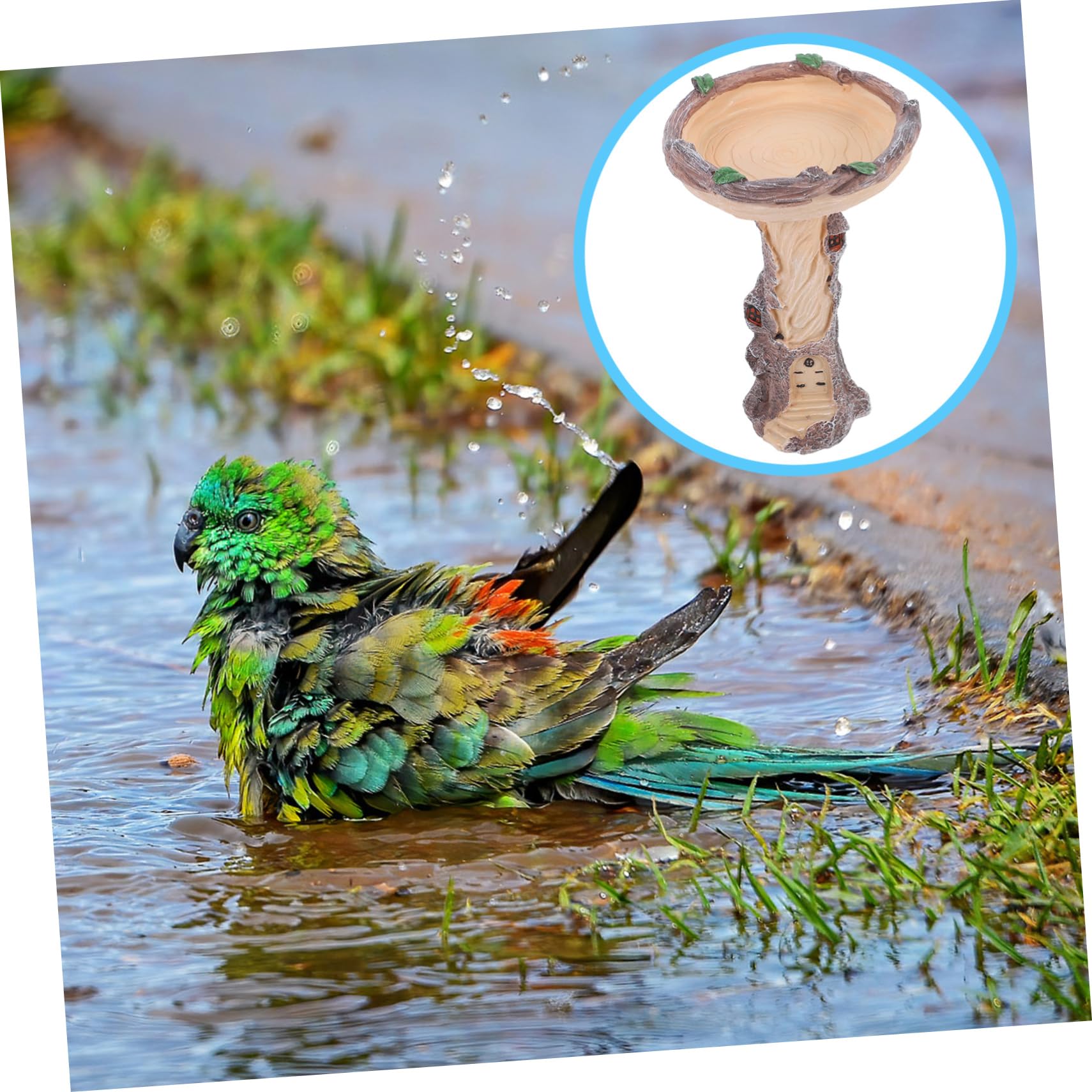 Levemolo Mangiatoia Per Uccelli Con Stile Decorativo Bagno Per Uccelli Da Giardino Per Esterni Facile Da Pulire Per e Cortili