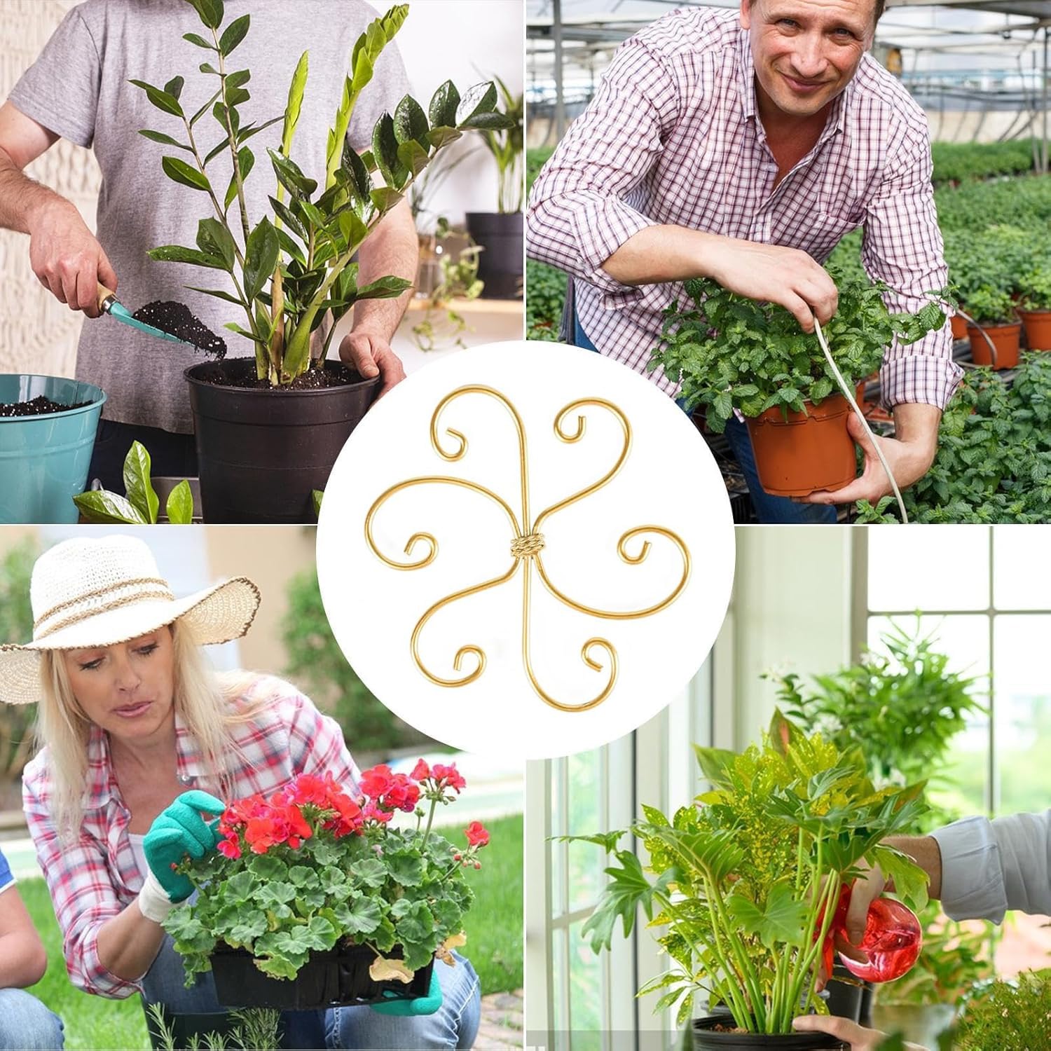 Lot de 5 supports de tige de plantes Iron Monstera - Support de tige durable à crochet pour une croissance saine - Ensemble de pinces en bambou pour stabilisation et soutien des feuilles - Cadeau