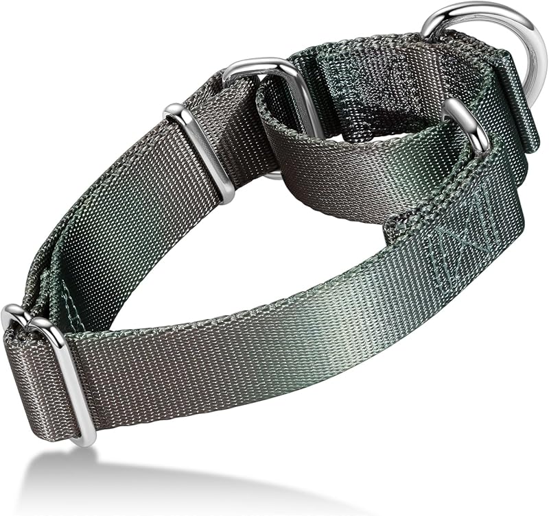 Coleira Martingale para Cães em Poliéster com Estampa Degradê Axdvk, Ajustável 43,18–63,5 cm, Grande (Large), Dark Grey