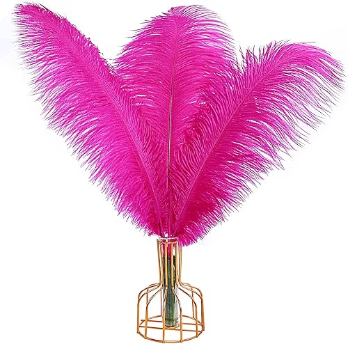 THARAHT Plumas de avestruz rosa intenso, 12 unidades, grandes, naturales a granel de 12-14 pulgadas, 11.8 in-13.8 in, para centros de mesa de boda,