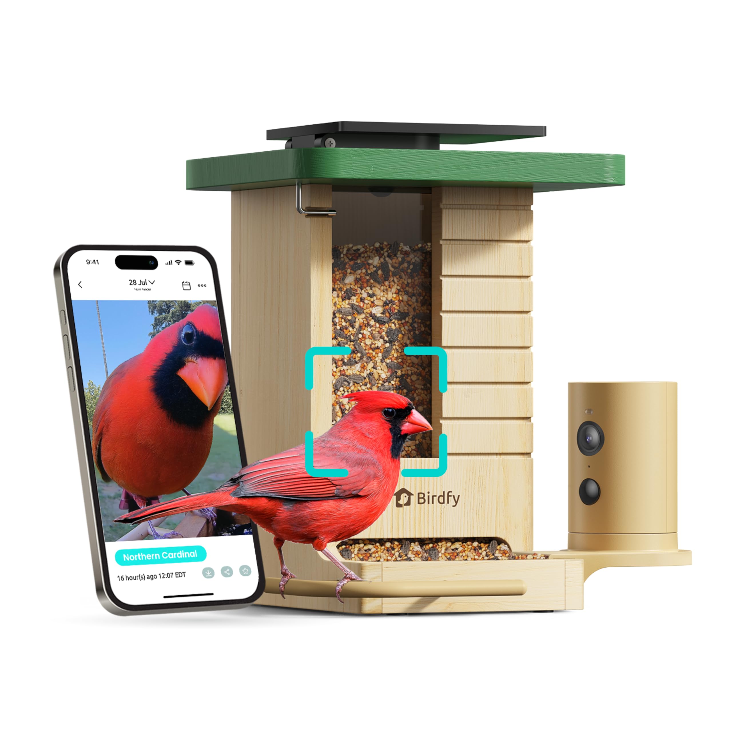 Birdfy Solar Smart