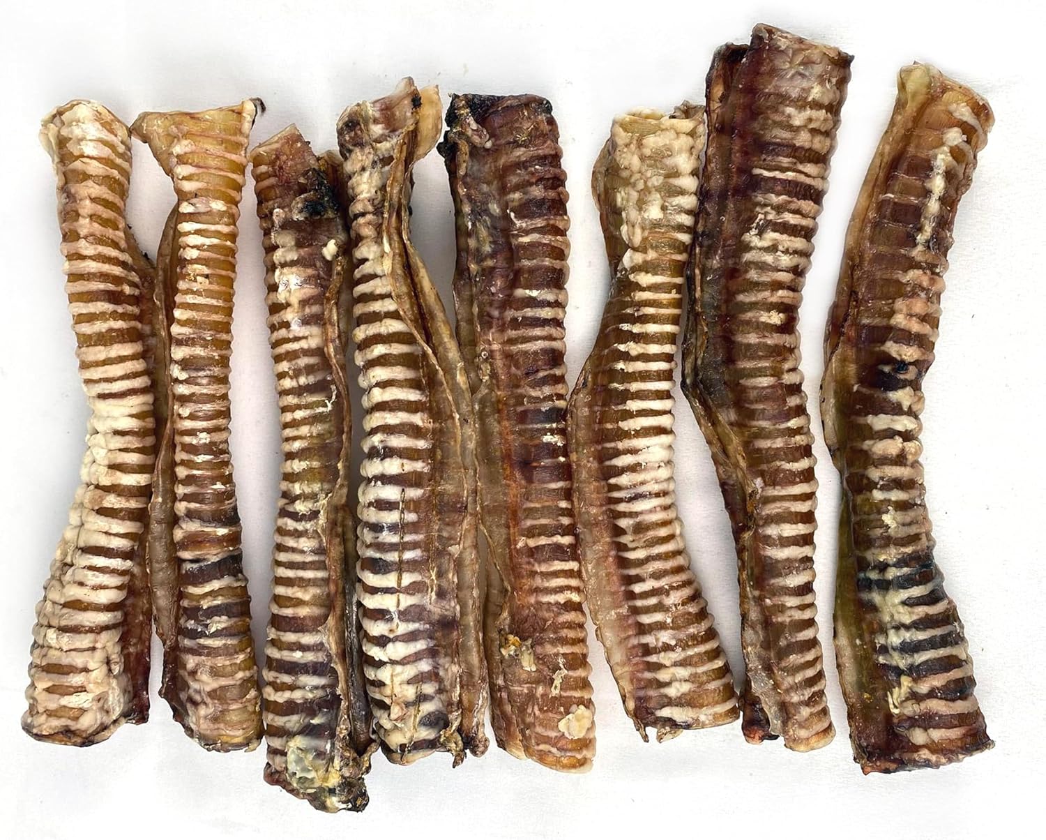 Premium Feeders Beef Trachea for Dogs 8 Smoked Beef Tracheas Approx