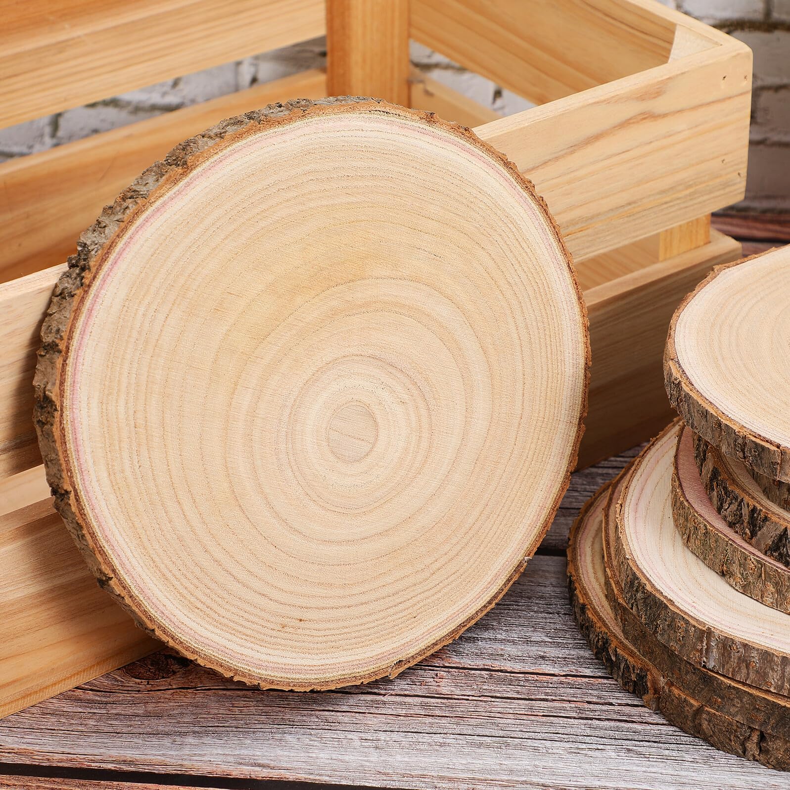8 Szt. Częściowy Naturalnych Plastrów Drewna z Korą Niedokończone Drewna Do Rękodzieła Gładko Szlifowane Krążki Do Dekoracji i Projektów Artystycznych