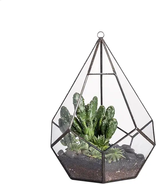 Geometric Hanging Glass Terrarium for Succulents and Air Plants - Modern Diamond Shape