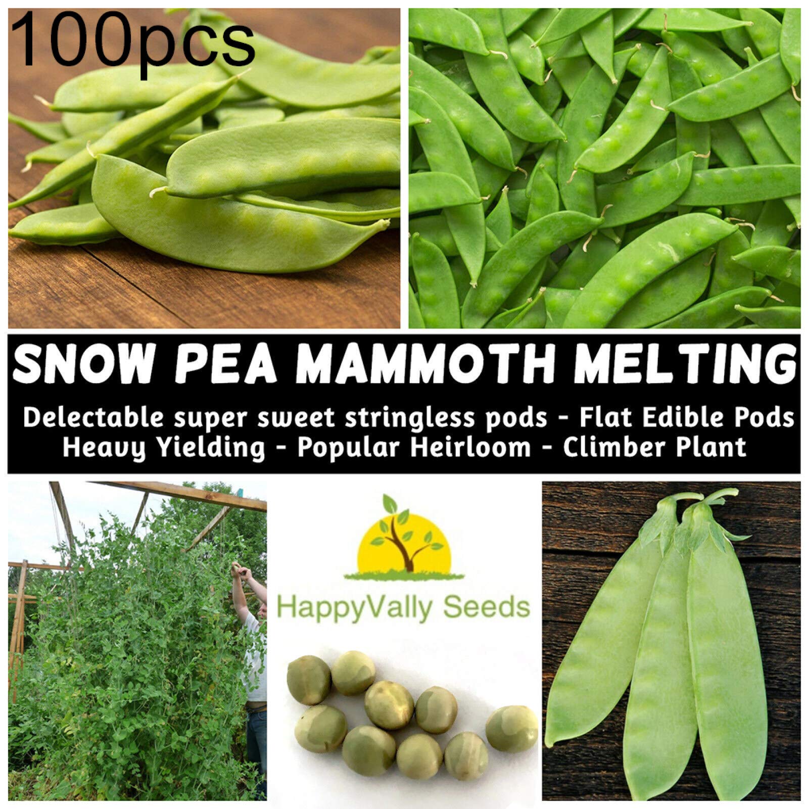 DFBTYG 100Pcs Sugar Snap Snow Pea Seeds Mangetout Edible Vegetable Plant Garden Decor - Snow Pea Seeds - Flower Seeds Vegetable Seeds Fruit Seeds Garden Plant Seeds