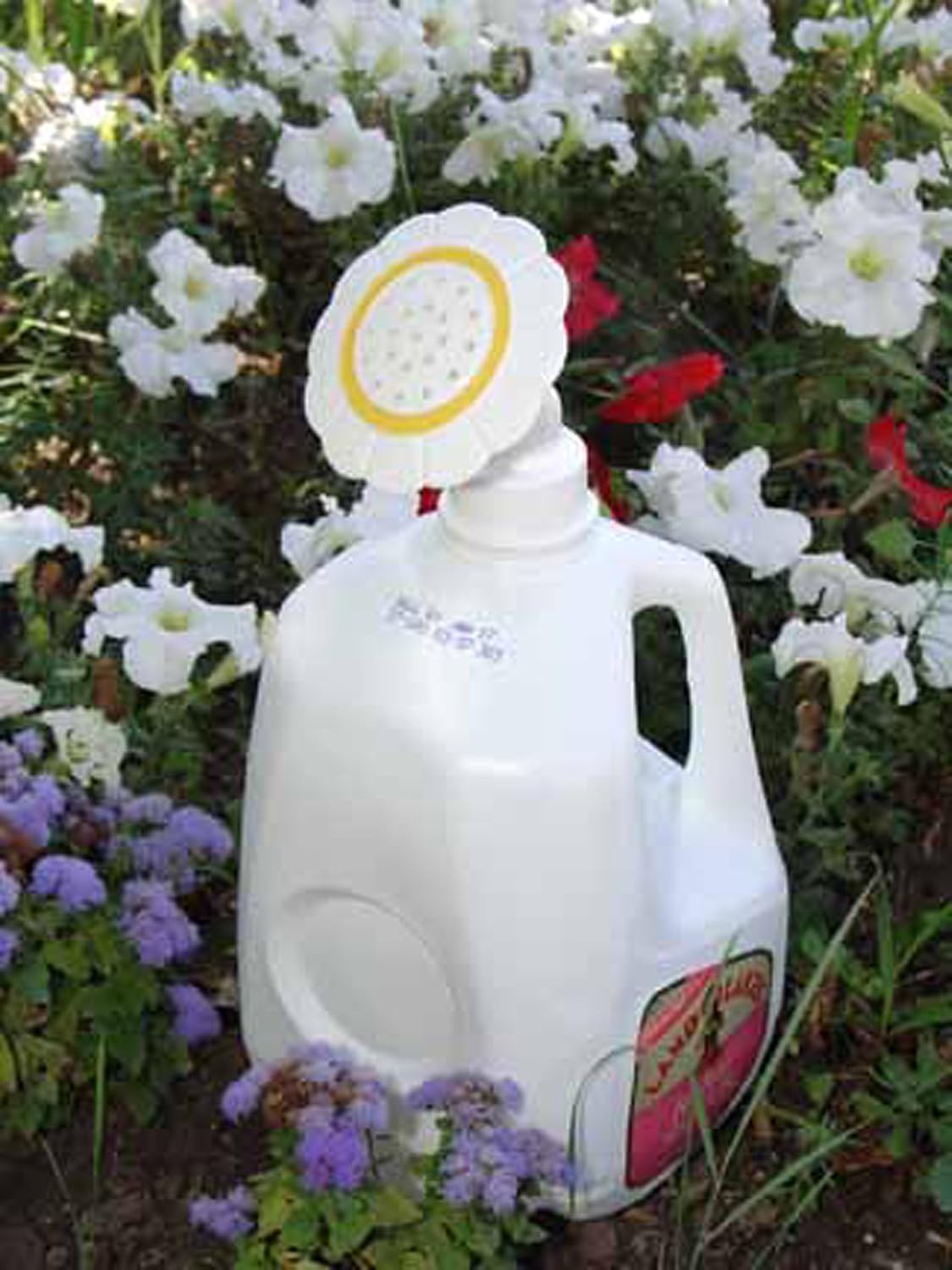 Gadjit Sprinkle Spout Daisy-Shaped Sprinkler Head - Snaps onto Most Plastic Gallon and Half-Gallon Jugs, Turning Them into Watering Cans (White & Yellow)