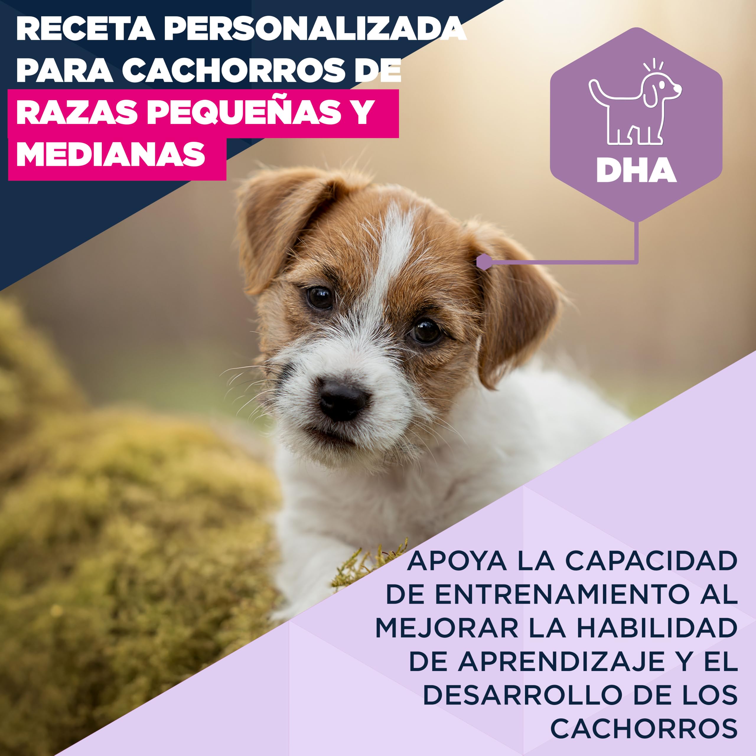 Eukanuba, alimento para Cachorros con Cordero y arroz para Razas pequeñas y Medianas - Alimento seco Premium para Perros Junior, 12 kg