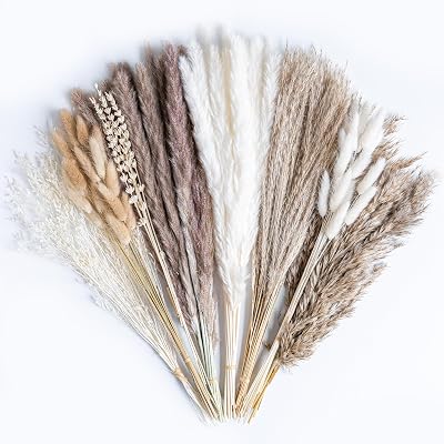 130PCS Natural Dried Pampas Grass Boho Home Decor Bouquet Phragmites Dried Flowers Bouquet for…