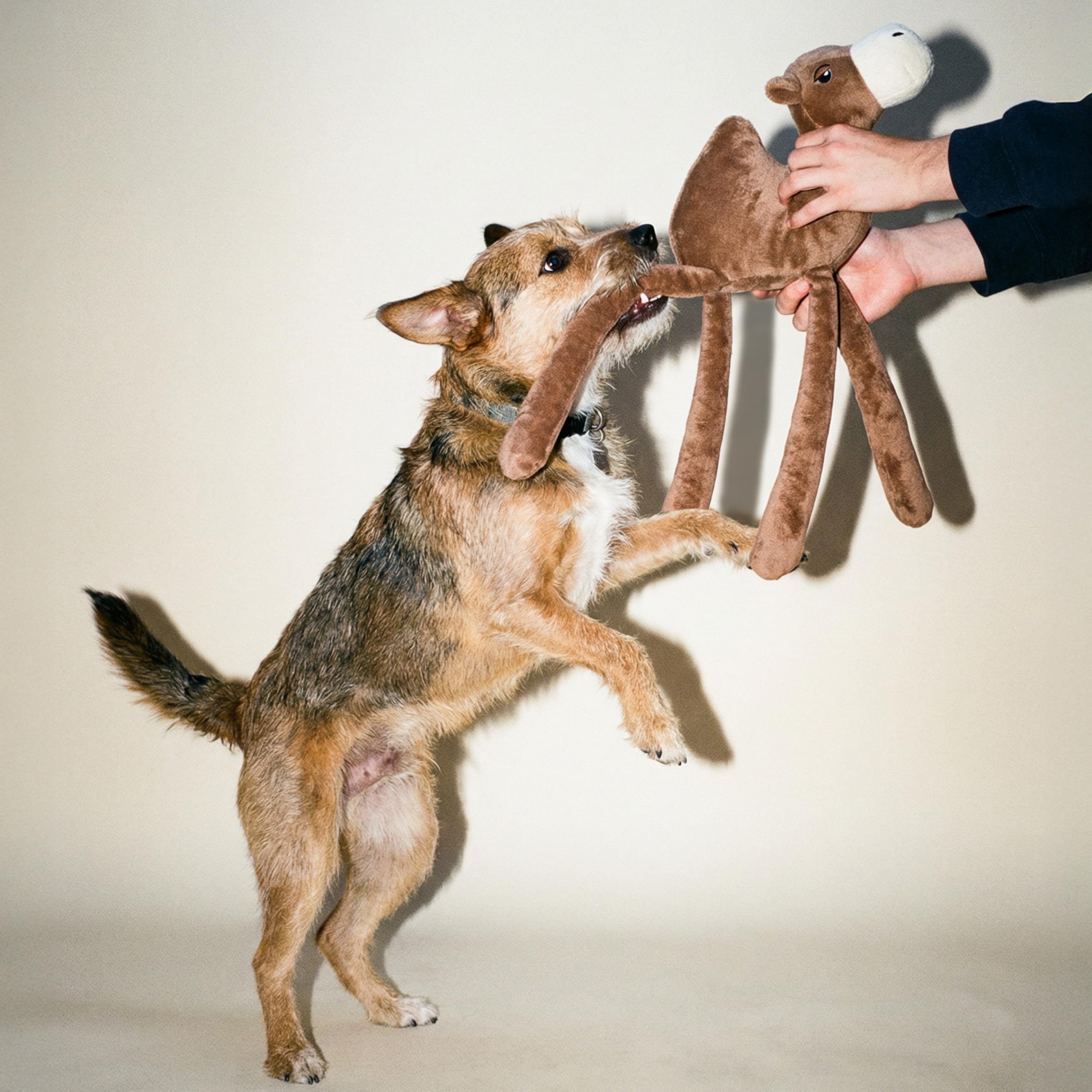 Hundespielzeug | Plüschkamel für Hunde | Umweltfreundliches Spielzeug aus ungiftigen Materialien