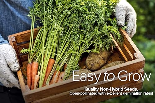 Miniatura 4 de Gardeners Basics Semillas de hortalizas de invierno, otoño y primavera para plantar | Cultivos de clima fresco | 8 variedades: guisantes de azúcar,