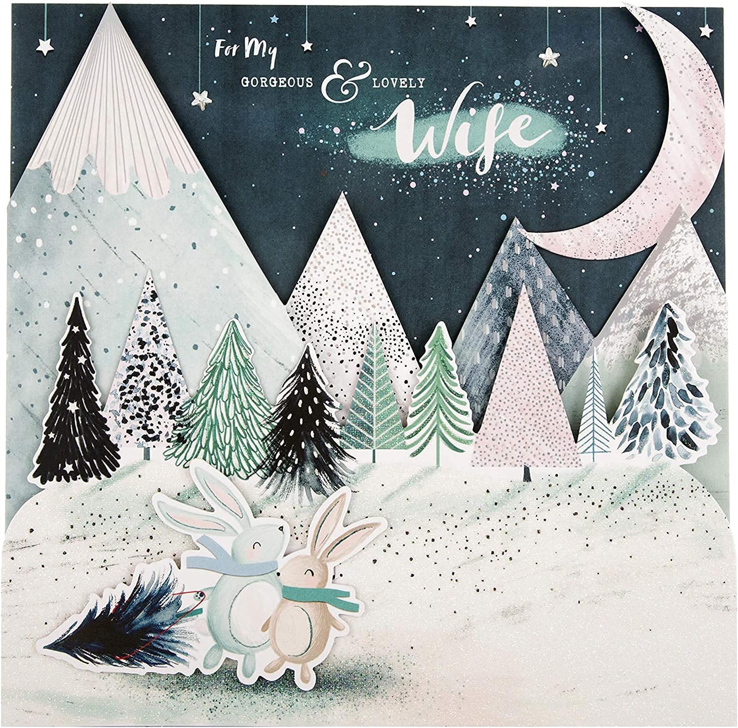 Wife 3D Stand Out Snowy Scene Christmas Card 25520014 HALLMARK Large, 255 x 290 mm - Image 3