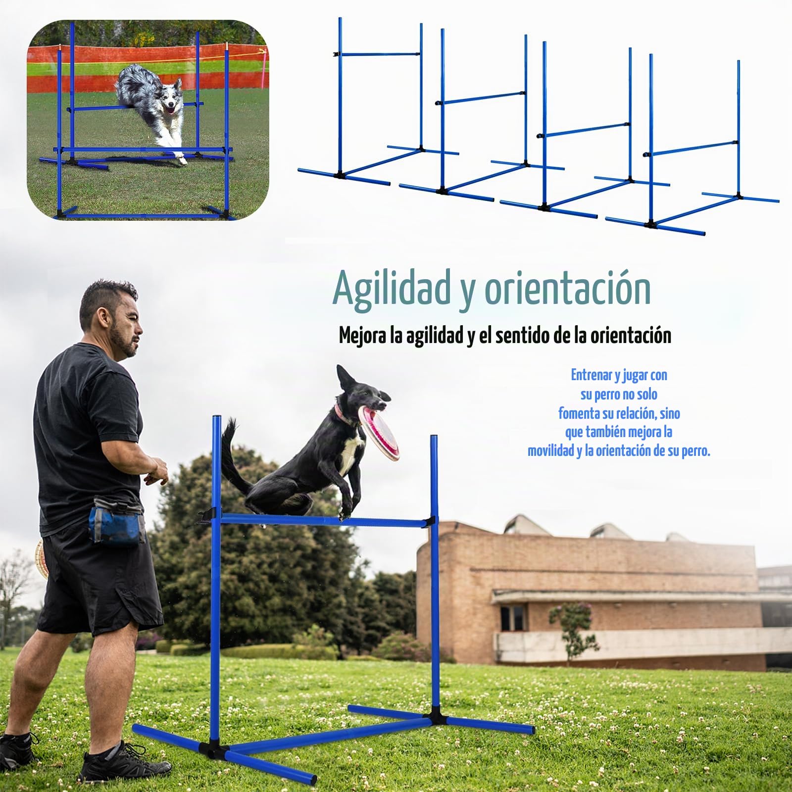 LZQ Agility - Juego de herramientas para perros, juego de obstáculos para agilidad (incluye 4 obstáculos de altura ajustable, juego de entrenamiento para mascotas, barras, barras de slalom con bolsa