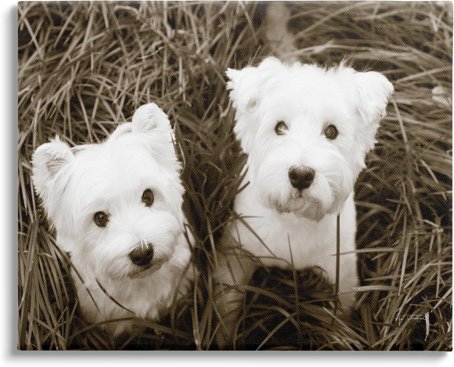 Stupell Industries White Terrier Puppies Canvas Wall Art by Jim Dratfield