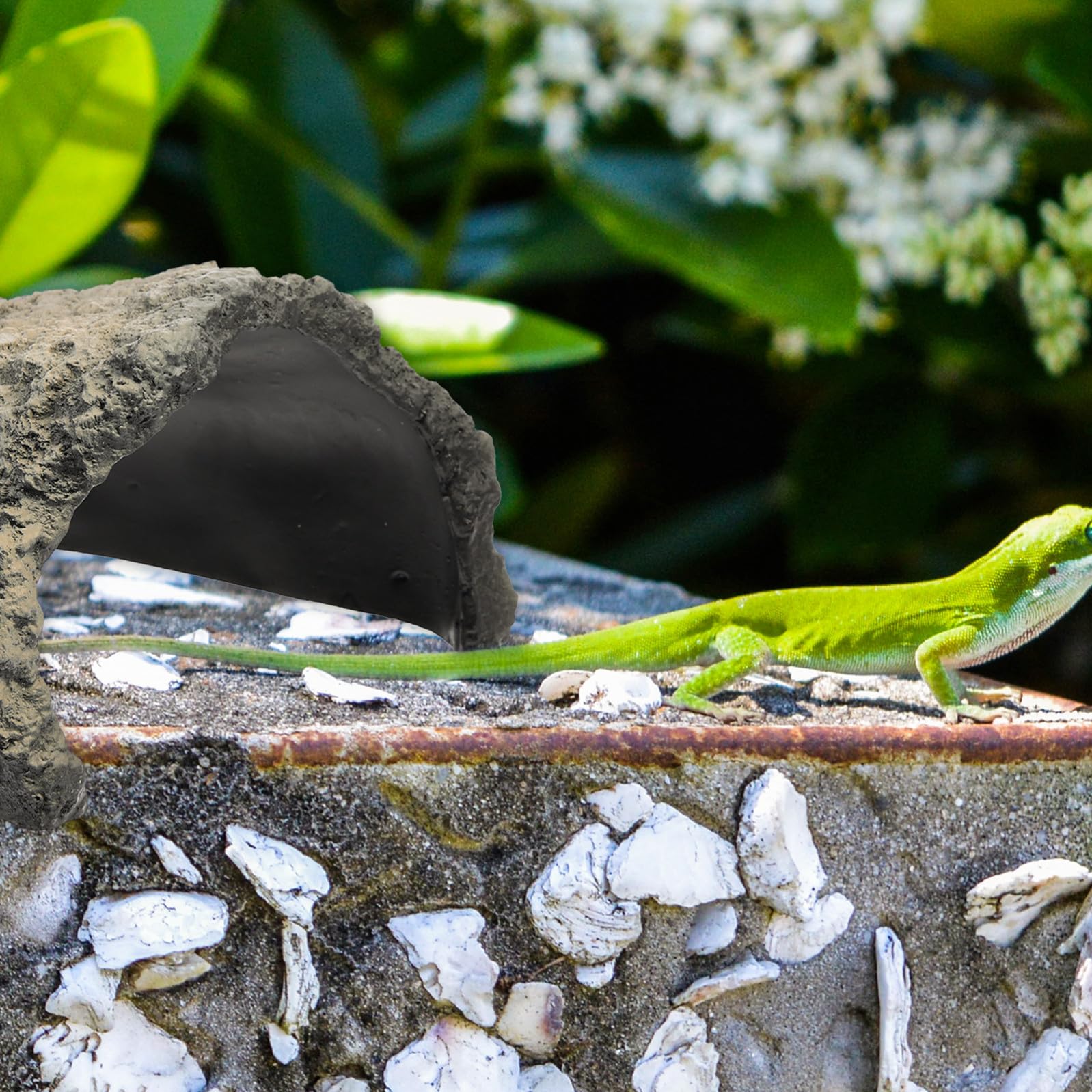 VALICLUD Cachette pour Reptiles en Résine, Grotte aux Tortues Polyvalente et Décor de Terrarium pour Habitat des Tortues et Amphibiens