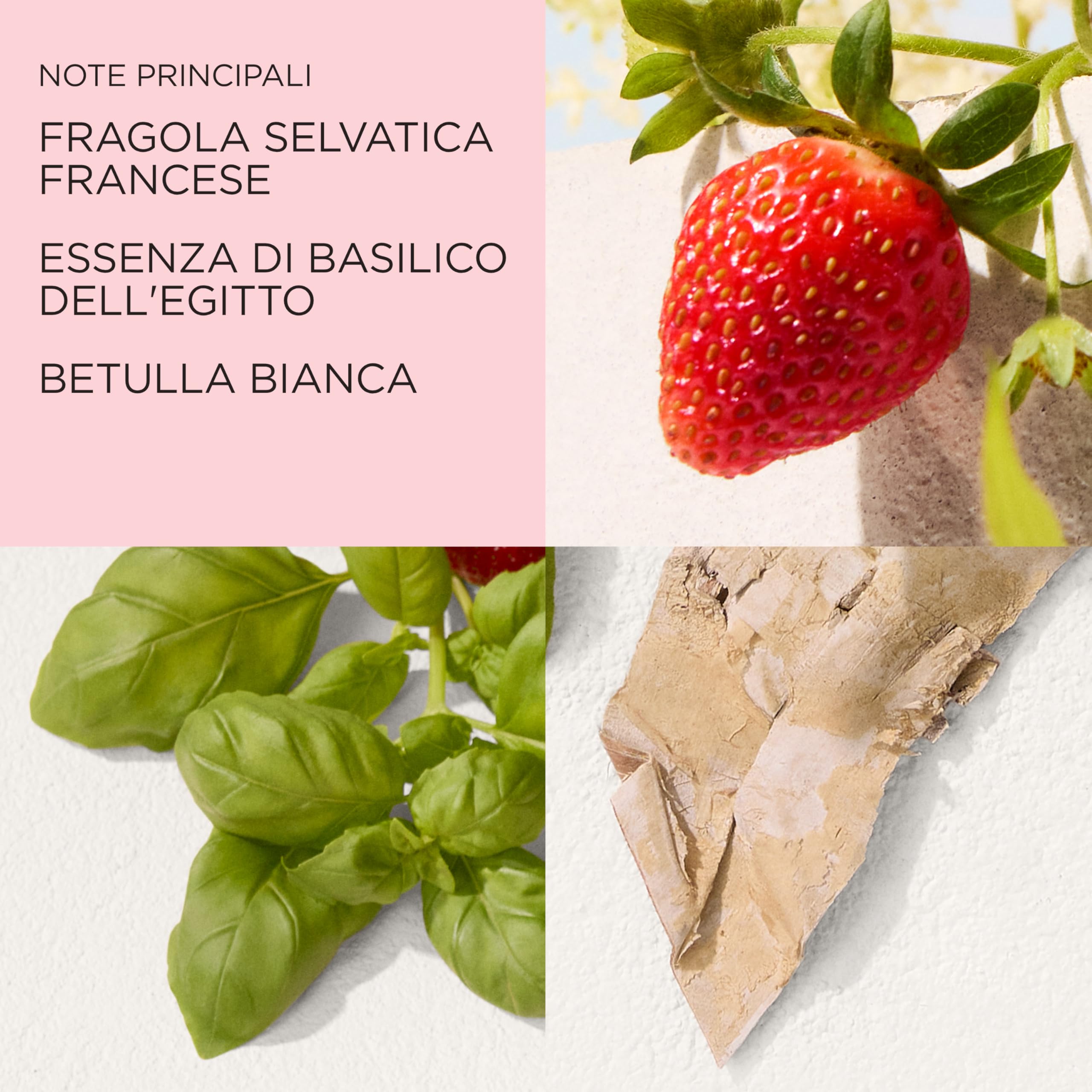 Elizabeth Arden - Green Tea Strawberry Basil Honey Drops Crema Corpo, Idratazione Nutriente 500ml + Elizabeth Arden - Green Tea Strawberry Basil Eau de Toilette, Profumo da Donna 100ml
