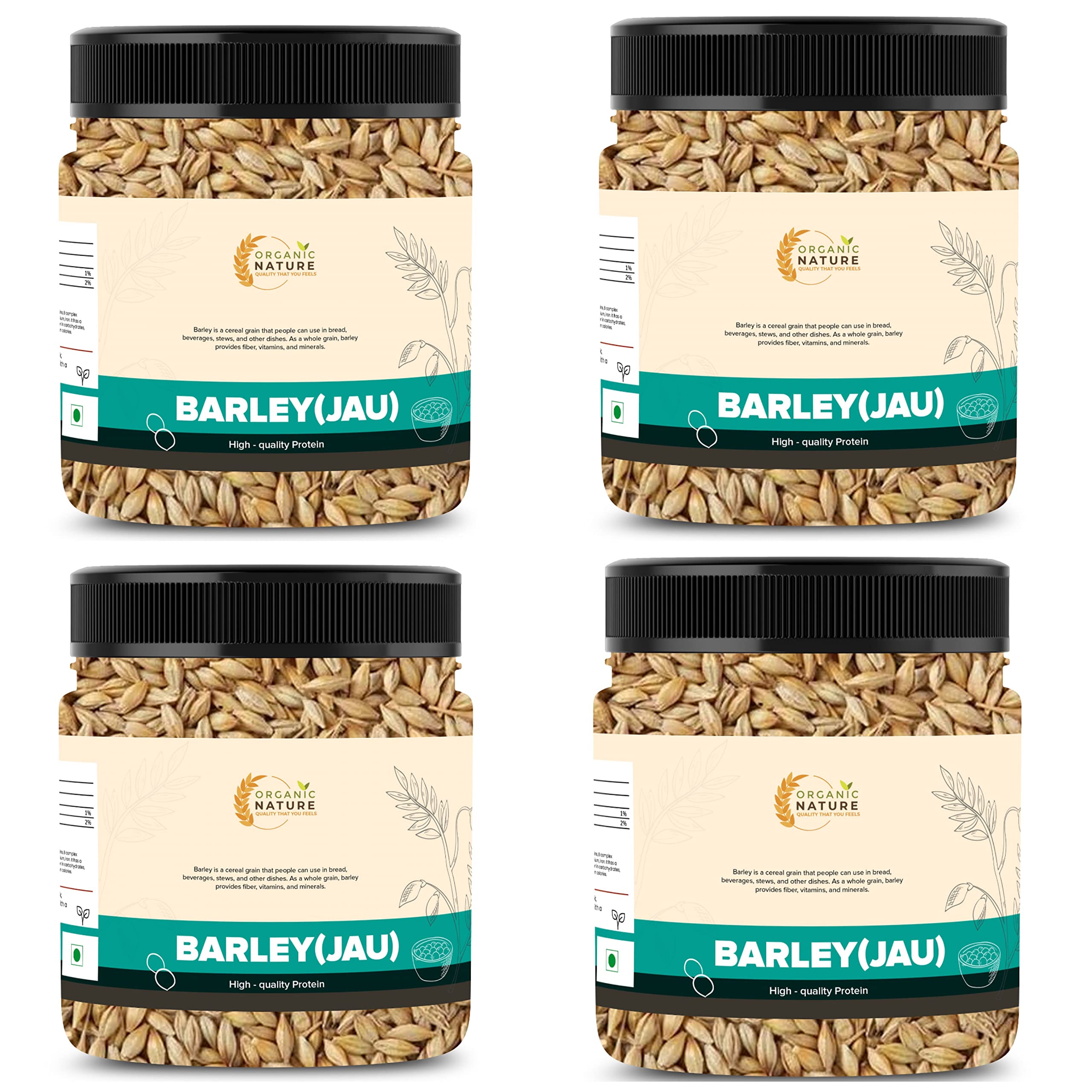 Organic Nature Raw Barley Seeds (Jau) Barley Grain (1 Kg (Pack of 4 of 250 Grams))