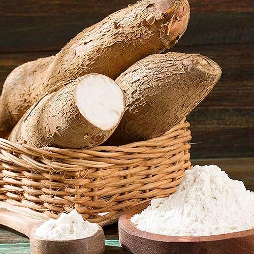 Miniatura 3 de QAUZUY GARDEN 5 semillas de yuca (Manihot Esculenta) semillas de mandioca, yuca, tapioca - Semillas de reliquia sin OMG - Semillas vegetales