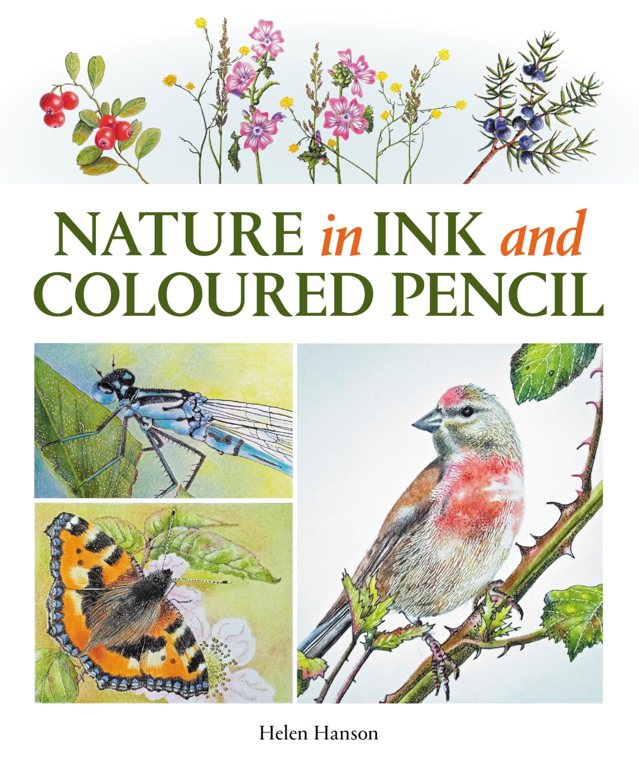 Nature in Ink and Coloured Pencil avec tutoriels de dessin pas à pas