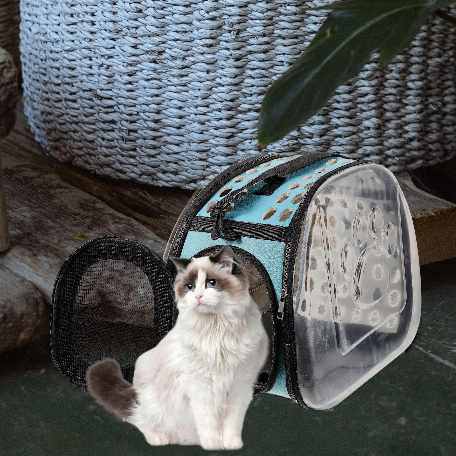 Transparenter Katzentransportrucksack für Reisen und Camping, Blau