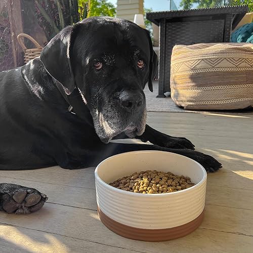 Miniatura 7 de Mora Ceramic Pet Bowl - Large Food/Water Dish for Large Dogs, Cats, Great Dane, Mastiff - 50oz or 8 Cups - Basic Bowls - Vanilla White