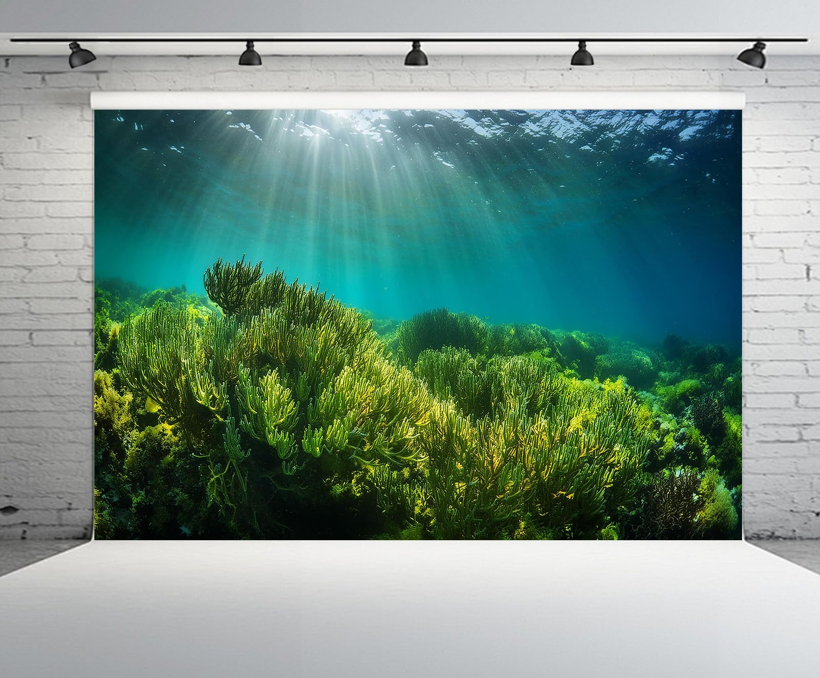 CHNYWORK 15ftx10ft Underwater Seascape Backdrop Under The Sea Aquarium Algae on The Ocean Floor with Natural Sunlight Background Mermaid Theme Birthday Party Decorations Baby Shower Photo Props