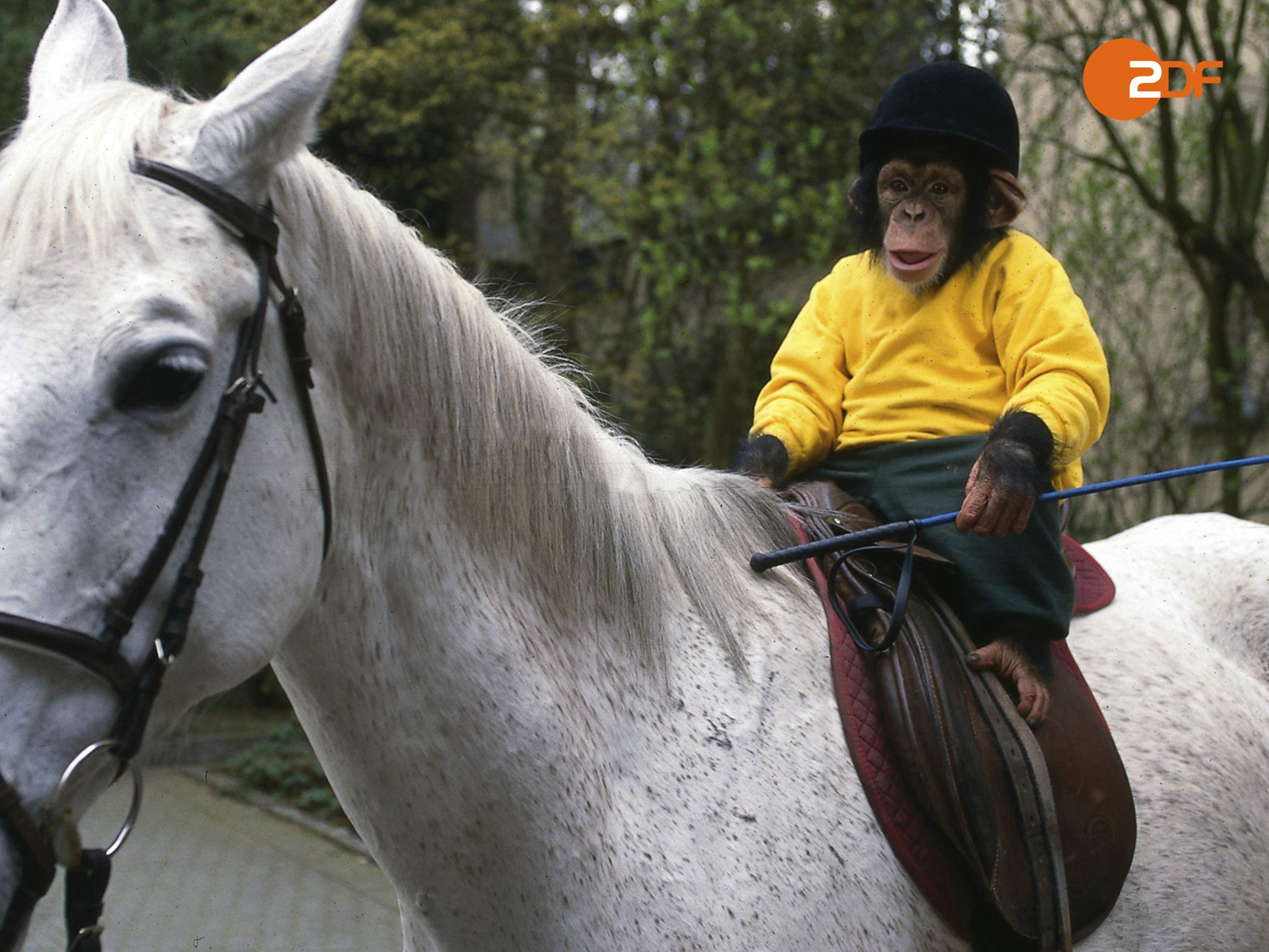 Amazon.de Unser Charly Staffel 4 ansehen Prime Video